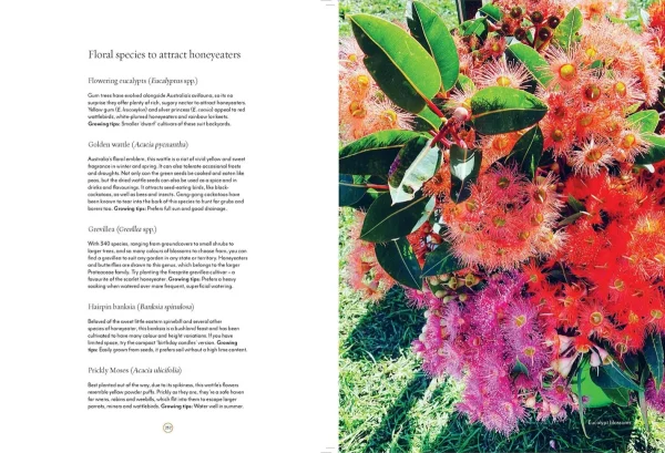 Australian Geographic Society & Culture-A Conscious Garden