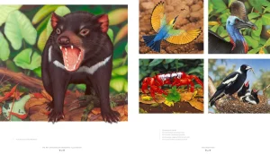 Australian Geographic Photographic & Illustrated-Art of Illustration