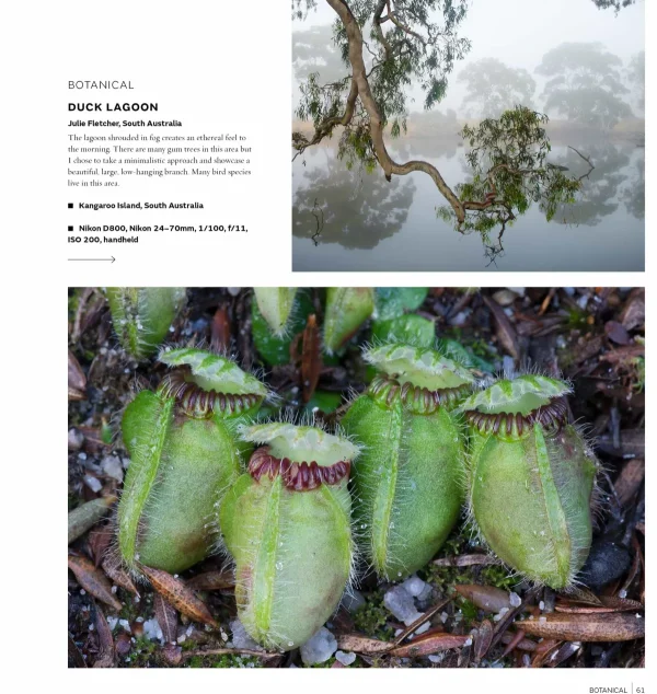 Australian Geographic Photographic & Illustrated-Australasian Nature Photographer of the Year Book 2017 (14th edition)