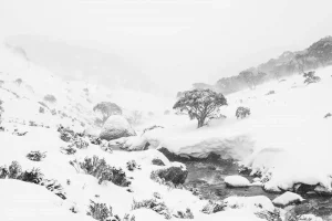 Australian Geographic Photography Prints-Australian Blizzard' by Charles Davis