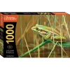 Australian Geographic Puzzles-1000 Piece Jigsaw: Lounging Frog