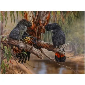 Australian Geographic Puzzles-1000 Piece Jigsaw: Miss Murrumbidgee