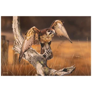 Australian Geographic Puzzles-1000 Piece Jigsaw: Out Hunting