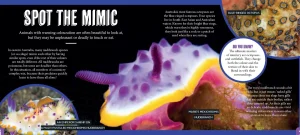 Kids Australian Geographic Animals & Nature | Age 8+-Discover: Animal Mimics