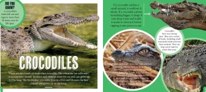 Kids Australian Geographic Science | Animals & Nature-Discover: Aussie Reptiles