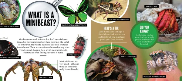 Kids Australian Geographic Animals & Nature | Age 8+-Discover: Minibeasts