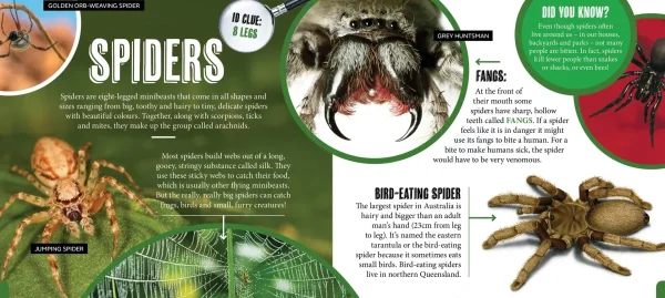 Kids Australian Geographic Animals & Nature | Age 8+-Discover: Minibeasts