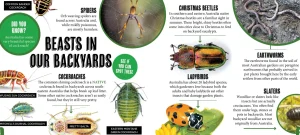 Kids Australian Geographic Animals & Nature | Age 8+-Discover: Minibeasts