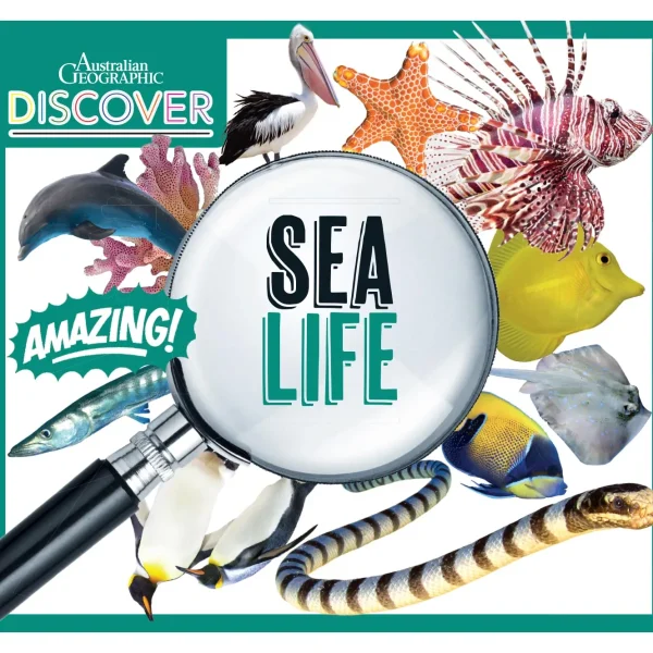 Kids Australian Geographic Science | Animals & Nature-Discover: Sea Life