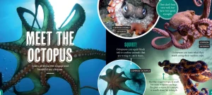 Kids Australian Geographic Science | Animals & Nature-Discover: Sea Life