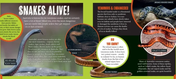 Kids Australian Geographic Science | Animals & Nature-Discover: Venomous Animals