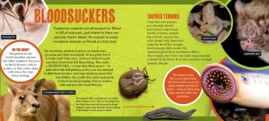 Kids Australian Geographic Science | Animals & Nature-Discover: Venomous Animals