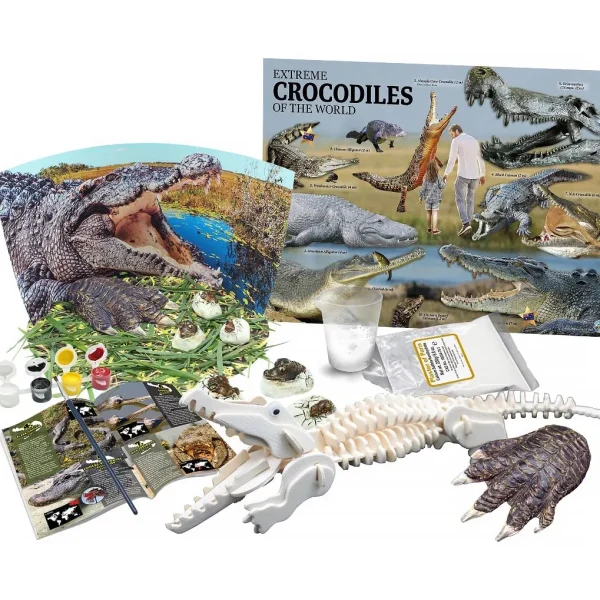 Australian Geographic 5-7 Years | Educational-: Extreme Crocodiles