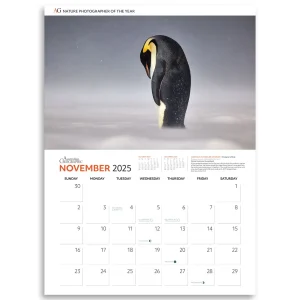 Australian Geographic Calendars & Diaries | Calendars & Diaries-Nature Photographer of the Year Calendar 2025