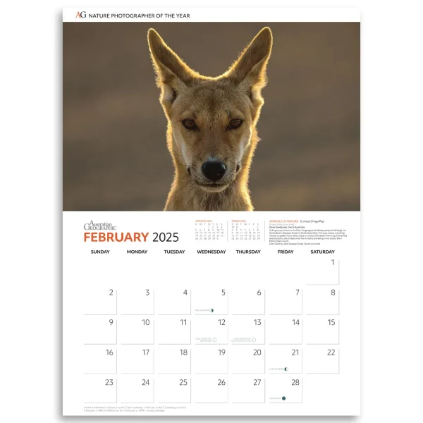 Australian Geographic Calendars & Diaries | Calendars & Diaries-Nature Photographer of the Year Calendar 2025