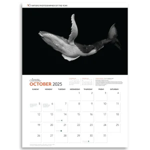 Australian Geographic Calendars & Diaries | Calendars & Diaries-Nature Photographer of the Year Calendar 2025