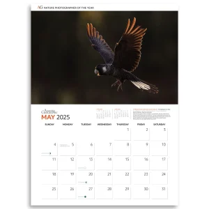 Australian Geographic Calendars & Diaries | Calendars & Diaries-Nature Photographer of the Year Calendar 2025