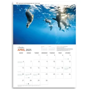 Australian Geographic Calendars & Diaries | Calendars & Diaries-Nature Photographer of the Year Calendar 2025