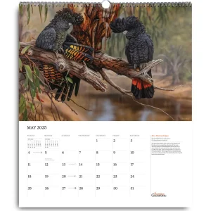 Australian Geographic Calendars & Diaries | Calendars & Diaries-Society Art Calendar 2025