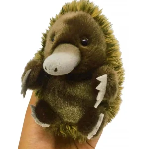 Australian Geographic Plush & Soft Toys | 0-24 Months-Baby Handfuls Echidna Soft Toy