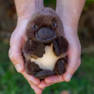 Australian Geographic Plush & Soft Toys | 0-24 Months-Baby Handfuls Platypus Soft Toy