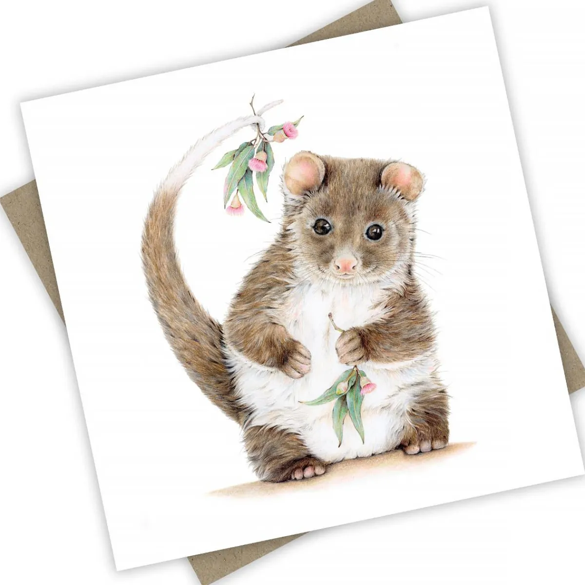 Australian Geographic Accessories | Greeting Cards-Banjo the Ringtail Possum Greeting Card from PopcornBlue