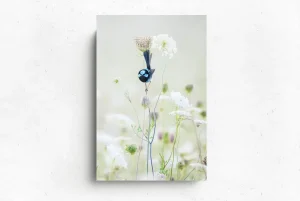 Australian Geographic Photography Prints-Blue Flower' by Charles Davis