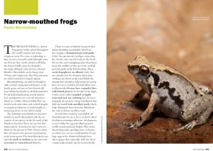 Australian Geographic Animals & Nature-Complete Guide To Australian Frogs