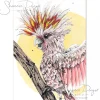 Australian Geographic Accessories | Greeting Cards-Frankie - Pink Cockatoo Greeting Card by Shannon Dwyer