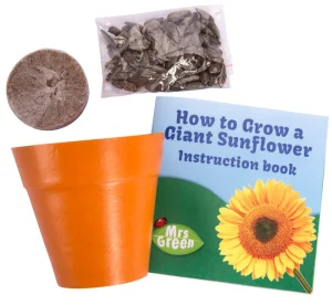 Australian Geographic Garden | 5-7 Years-Giant Sunflower