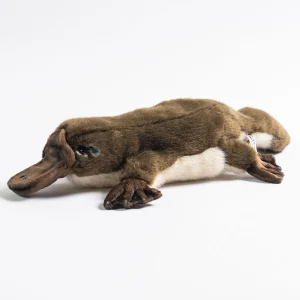 Australian Geographic Plush & Soft Toys | 0-24 Months-Hansa Platypus Puppet