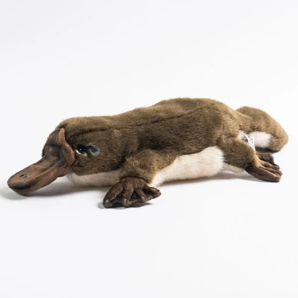 Australian Geographic Plush & Soft Toys | 0-24 Months-Hansa Platypus Puppet