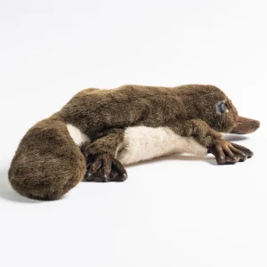 Australian Geographic Plush & Soft Toys | 0-24 Months-Hansa Platypus Puppet