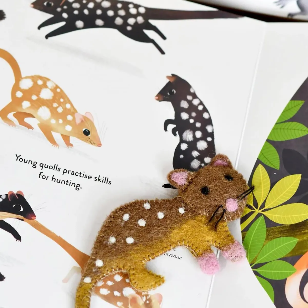jumping_joeys_finger_puppets_and_book_set_by_sarah_allen_1.webp Australian Geographic Puppets-Jumping Joeys Finger Puppets and Book Set by Sarah Allen