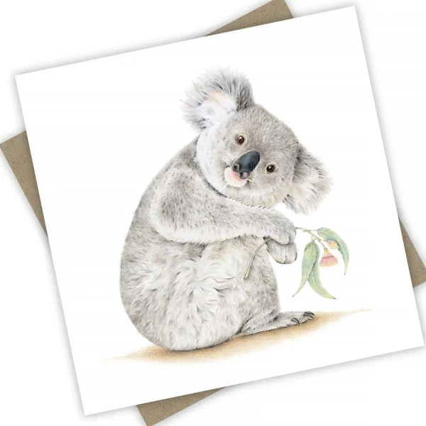 Australian Geographic Accessories | Greeting Cards-Koala Barangaroo Greeting Card from PopcornBlue