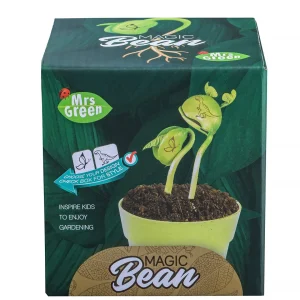 Australian Geographic 5-7 Years | Educational-Mrs Greens Magic Beans