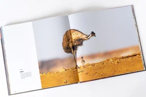 Australian Geographic Photographic & Illustrated-Our Country