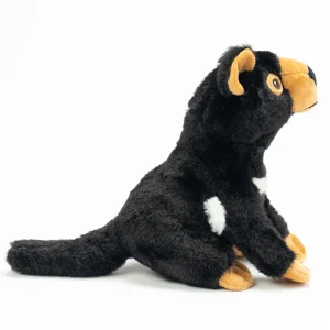 Australian Geographic Plush & Soft Toys | 0-24 Months-Ripley Tasmanian Devil Plush Toy - 20cm