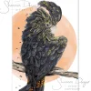 Australian Geographic Accessories | Greeting Cards-Sassy - Red-tailed Black Cockatoo Greeting Card by Shannon Dwyer