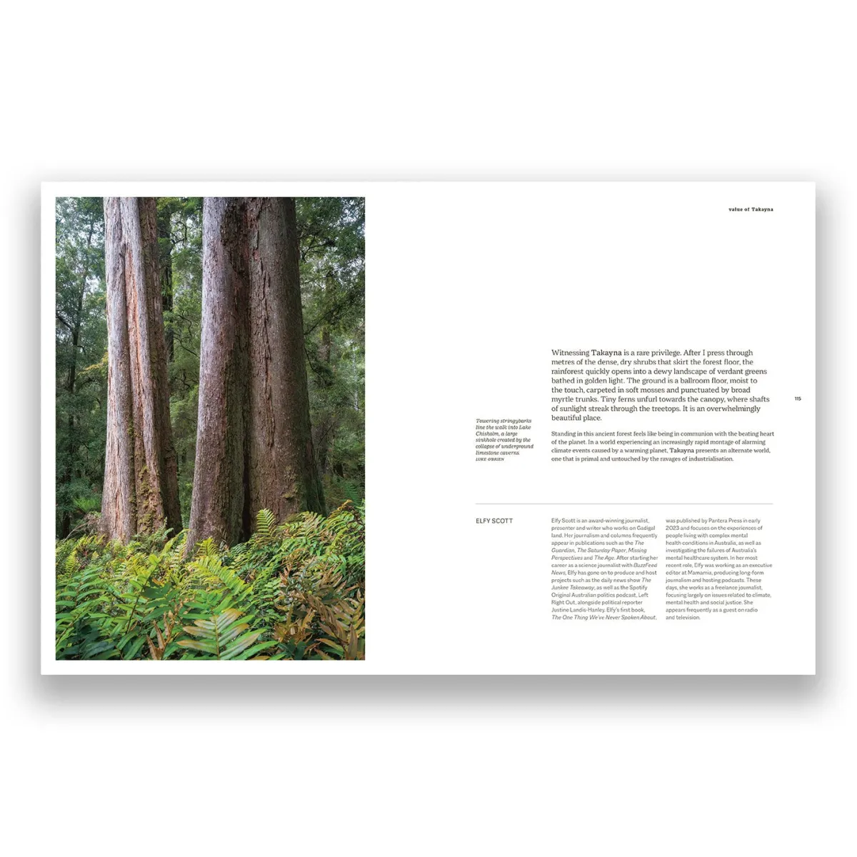 Australian Geographic Photographic & Illustrated-takayna | TARKINE - One of the last wild places on Earth