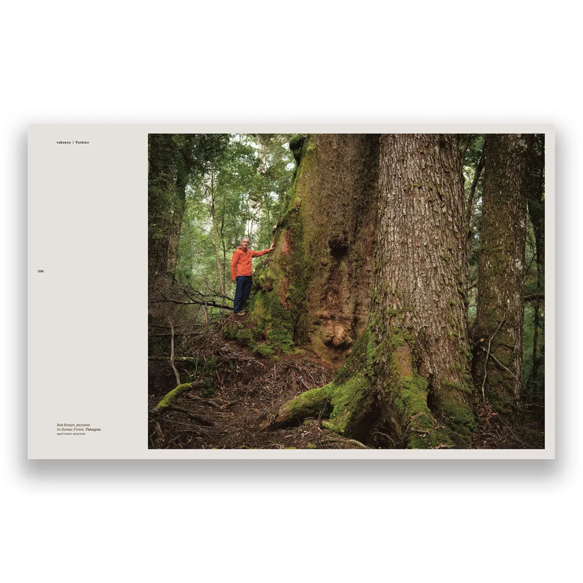 Australian Geographic Photographic & Illustrated-takayna | TARKINE - One of the last wild places on Earth