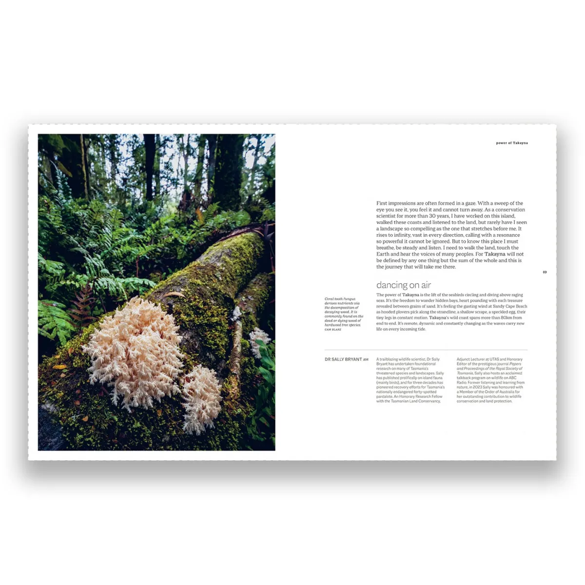 Australian Geographic Photographic & Illustrated-takayna | TARKINE - One of the last wild places on Earth