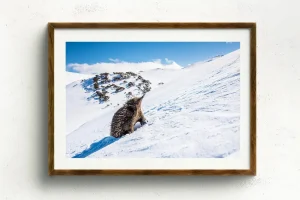 Australian Geographic Photography Prints-The Ascent' by Charles Davis