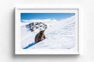 Australian Geographic Photography Prints-The Ascent' by Charles Davis