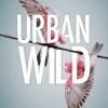 Australian Geographic Animals & Nature-Urban Wild