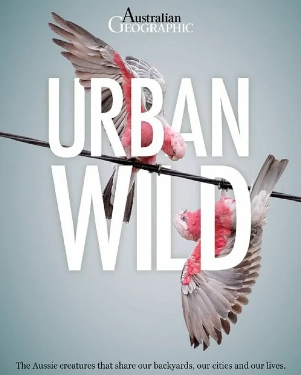 Australian Geographic Animals & Nature-Urban Wild