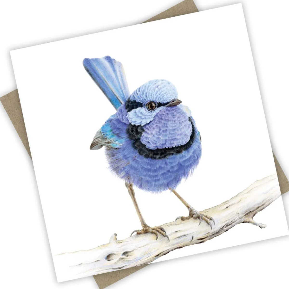 Australian Geographic Accessories | Greeting Cards-“Waru” the Splendid Fairy Wren Greeting Card from PopcornBlue