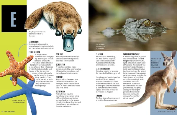 Kids Australian Geographic Educational | Science-Wild Words - An Illustrated Dictionary of Scientific Terms