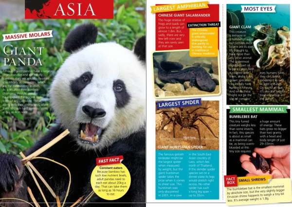 Kids Australian Geographic Animals & Nature | Age 8+-World's Most Extreme